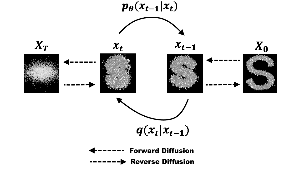 Forward and Reverse Process