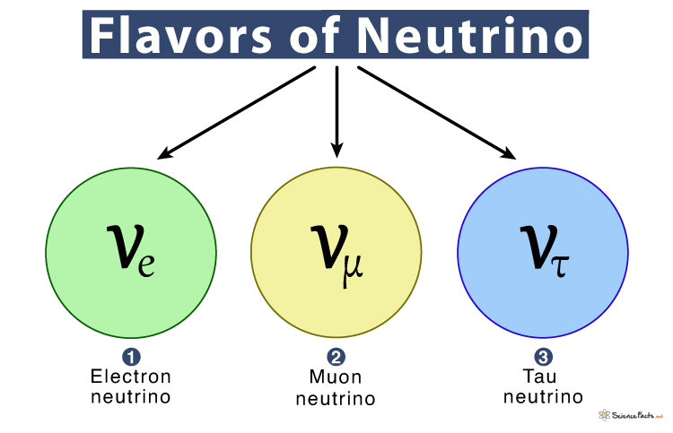 Flavors of Neutrinos